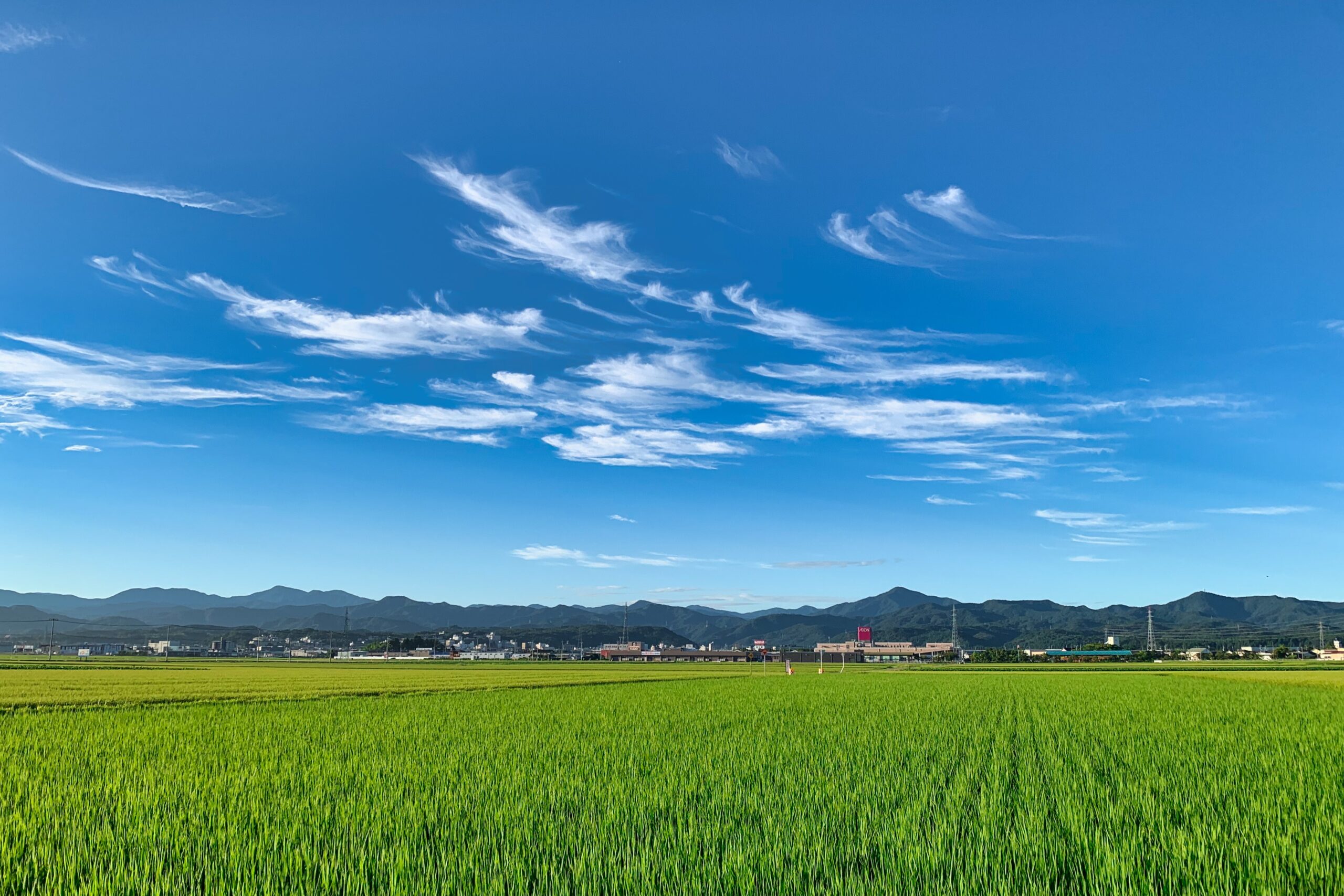 田園風景